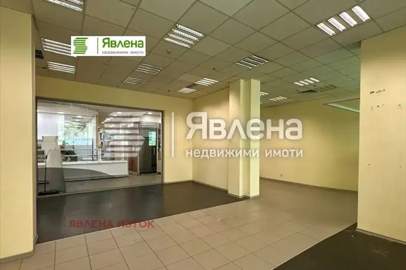 Shop in Sofiya, Geo Milev