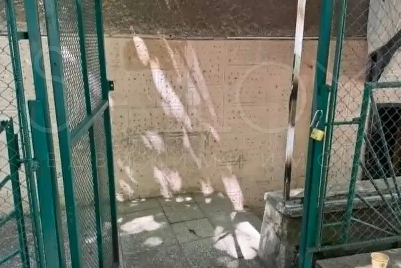 Shop in Stara Zagora, Centyr
