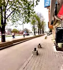 Магазин във Варна, Център