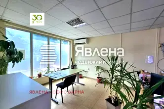 Магазин във Варна, Виница