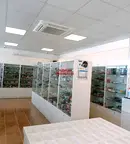 Магазин във Велико Търново, Център