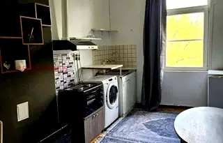 Стая в Банкя