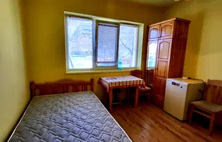 Стая в Пазарджик, Моста на Лютата