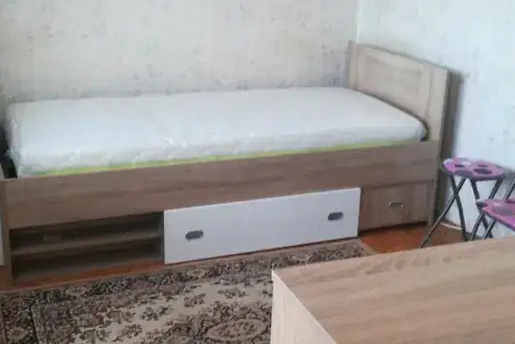 Стая в Плевен, Широк център