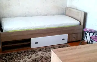 Стая в Плевен, Широк център