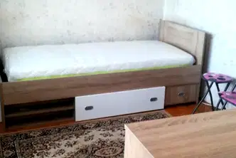 Стая в Плевен, Широк център