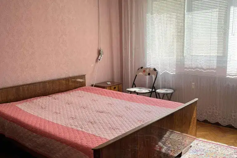 Стая в Плевен, Широк център