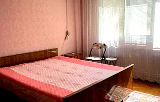 Стая в Плевен, Широк център
