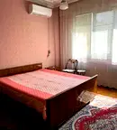 Стая в Плевен, Широк център