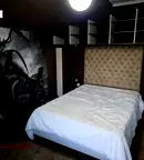Стая в Плевен, Широк център