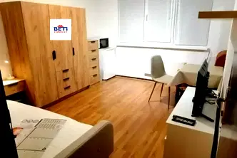 Стая в София, Борово