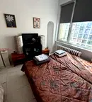 Стая в София, Център