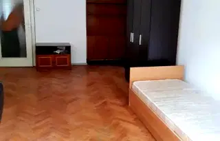Стая в София, Център