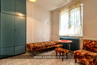 Стая в София, Център