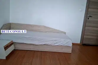 Стая в София, Дървеница
