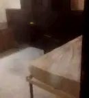 Стая в София, Илинден