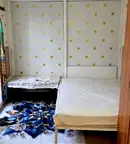 Стая в София, Левски