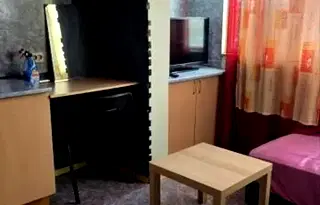 Стая в София, Младост 1