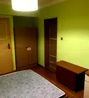Стая в София, Младост 2