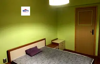 Стая в София, Младост 2