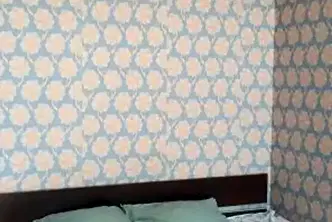 Стая в София, Младост 3