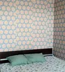 Стая в София, Младост 3