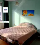 Стая в София, Младост 4