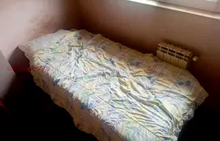 Стая в София, Оборище