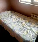 Стая в София, Оборище