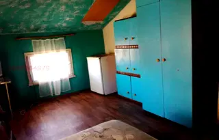 Стая в София, Орландовци