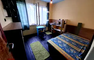 Стая в София, Орландовци