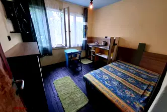 Стая в София, Орландовци