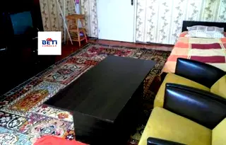 Стая в София, Свобода