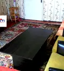 Стая в София, Свобода