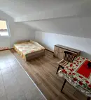 Стая в София, Требич
