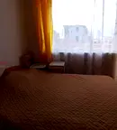 Стая във Велико Търново, Акация