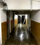 Склад в София, Дървеница